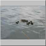 2010-07-04 - 13-59-38.JPG